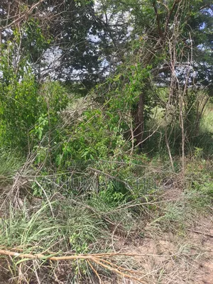 Shamba Linauzwa Kiwangwa Hekari 70