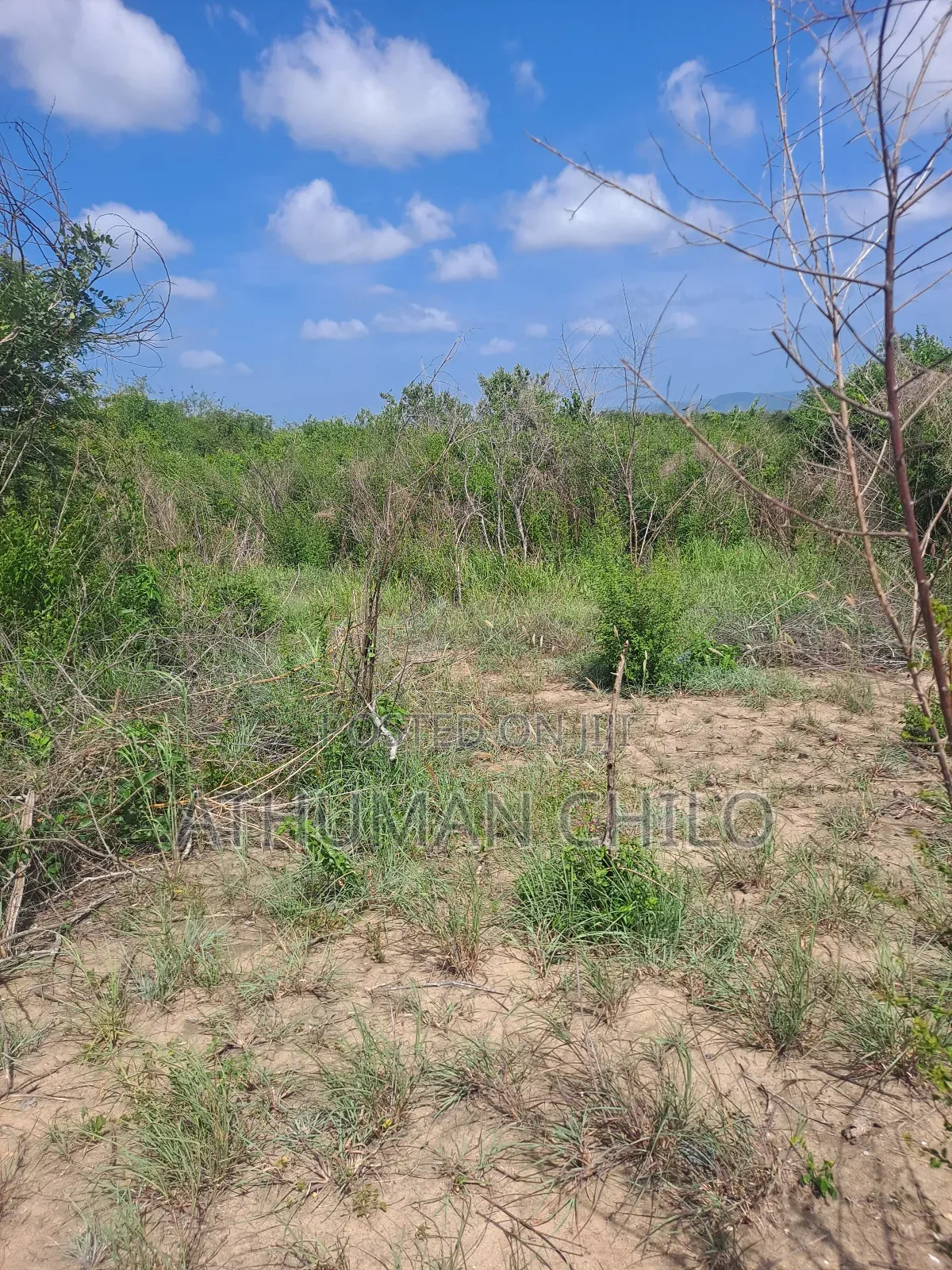 Shamba Linauzwa Kiwangwa Hekari 70