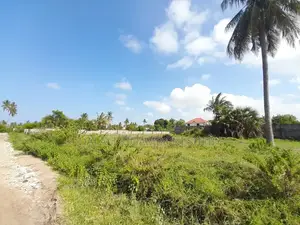 Kiwanja Kinauzwa Kigamboni Shangwe