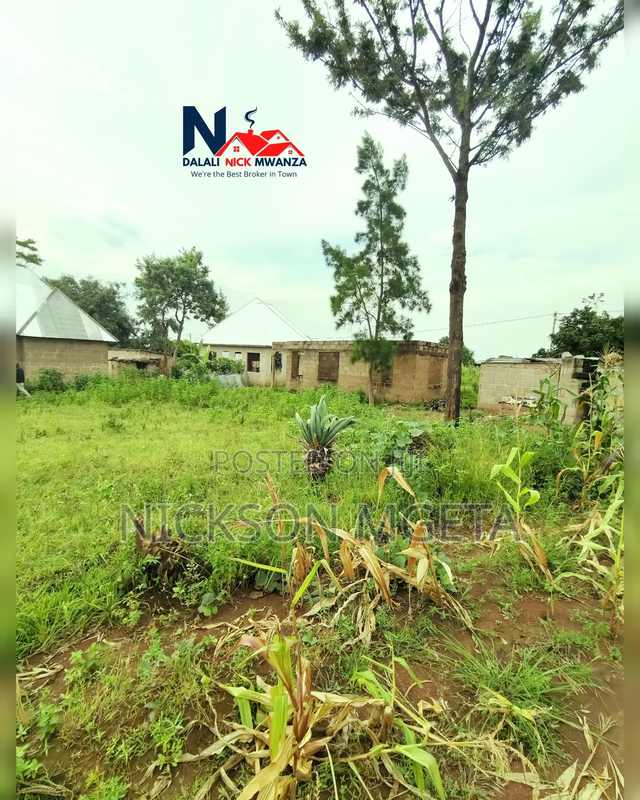Plot for Sale