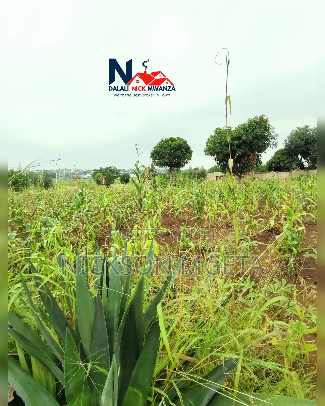 Plot for Sale
