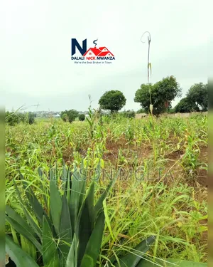 Plot for Sale
