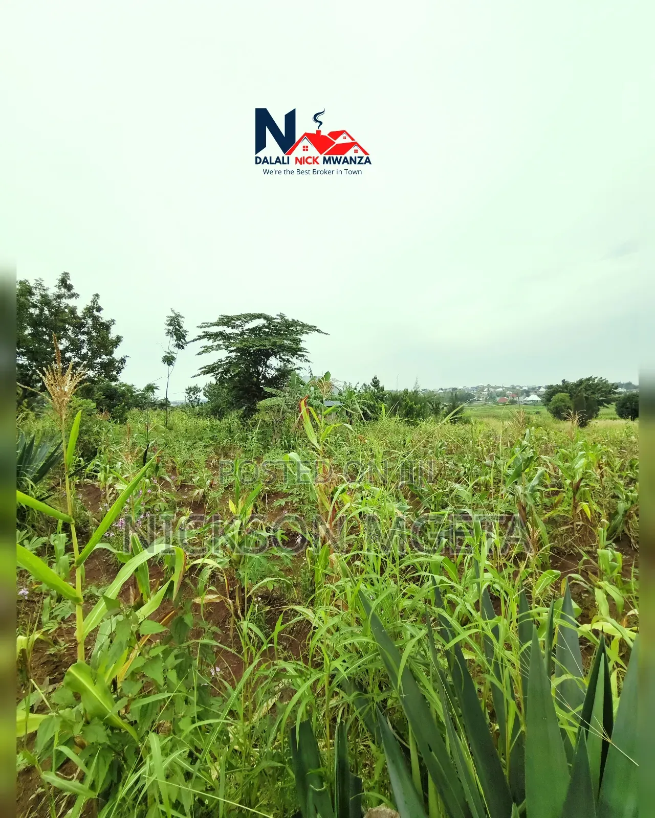Plot for Sale