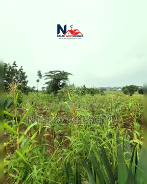 Plot for Sale
