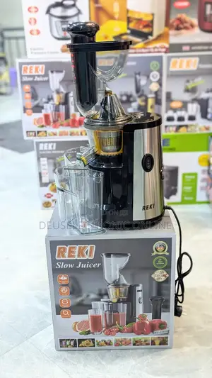 Electric Slow Juicer (REKI.