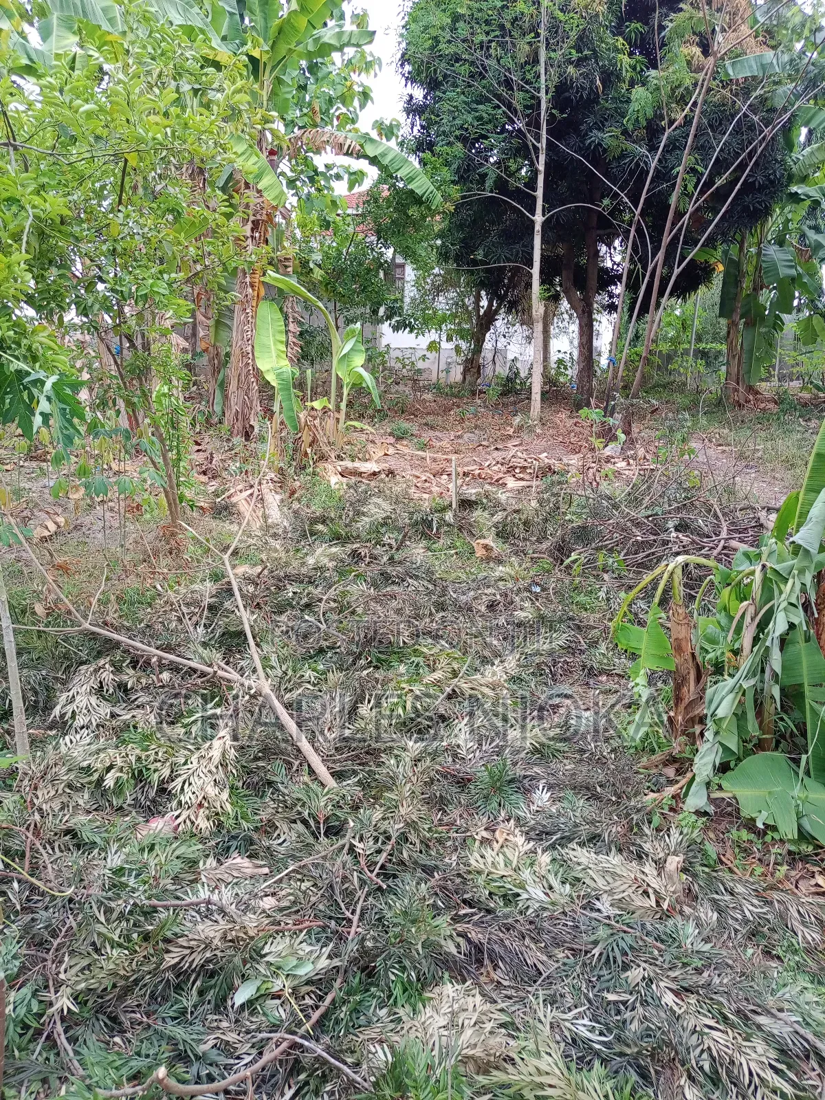 Kiwanja Kinauzwa Milioni 3.5 Ukonga Kwa Diwani.