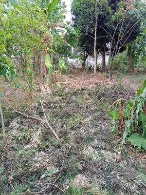 Kiwanja Kinauzwa Milioni 3.5 Ukonga Kwa Diwani.