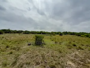 Eneo LA Heka 8 Linauzwa Kigamboni Mbutu Kichangani Beach 