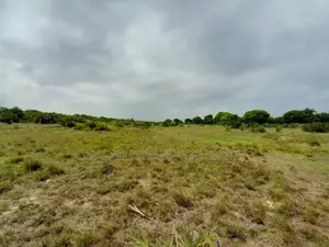 Eneo LA Heka 8 Linauzwa Kigamboni Mbutu Kichangani Beach 