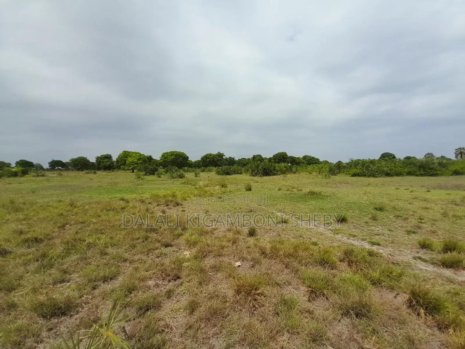 Eneo LA Heka 8 Linauzwa Kigamboni Mbutu Kichangani Beach 