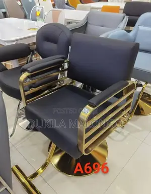 Salon Chair