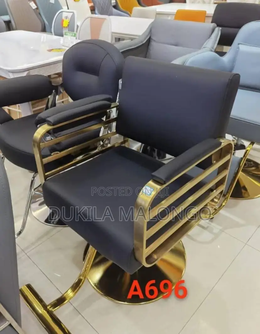 Salon Chair