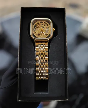 Forsinin Automatic Watch