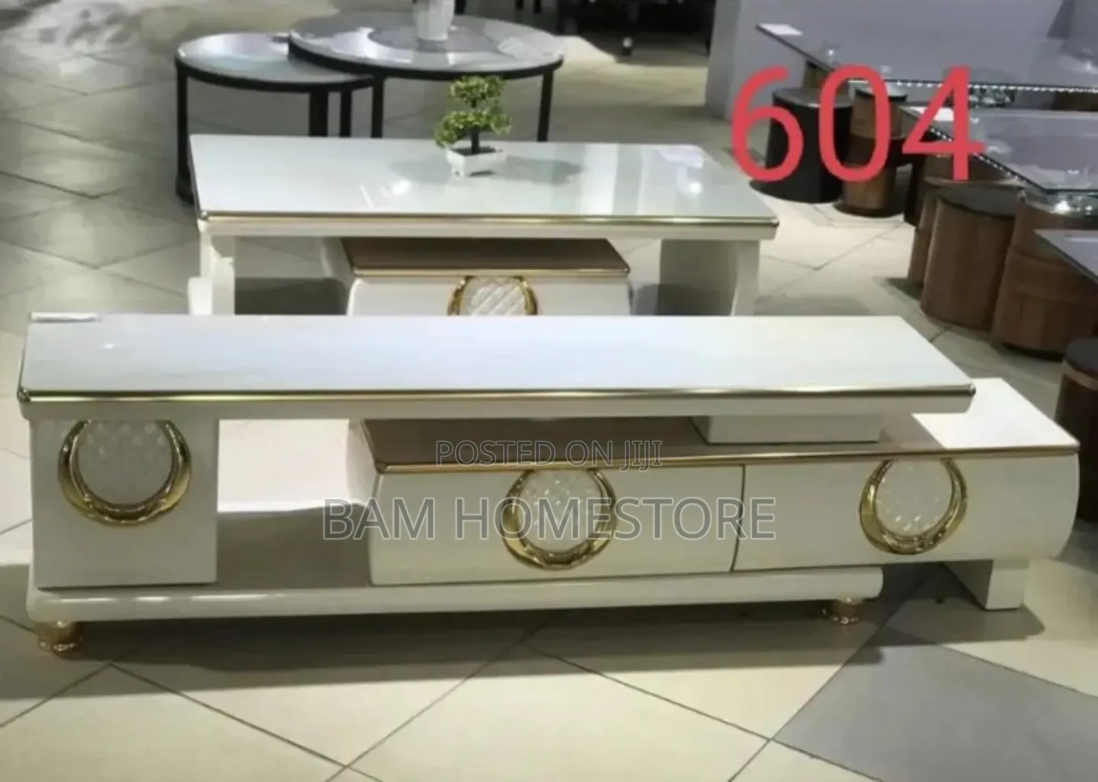 2 in 1 Set Tv Show Case+Coffee Table
