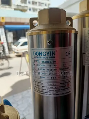 Dongyin Water Pump 0.75HP