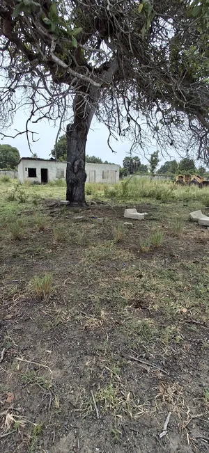 Yard for Rent at Kerege Bagamoyo (Eneo Linapangishwa Kerege)