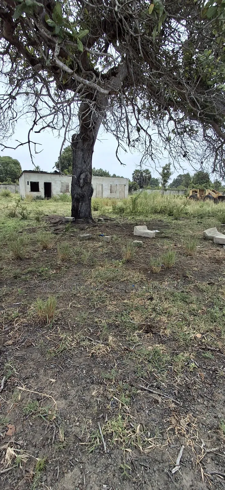 Yard for Rent at Kerege Bagamoyo (Eneo Linapangishwa Kerege)