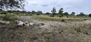 Yard for Rent at Kerege Bagamoyo (Eneo Linapangishwa Kerege)