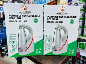 Portable Light