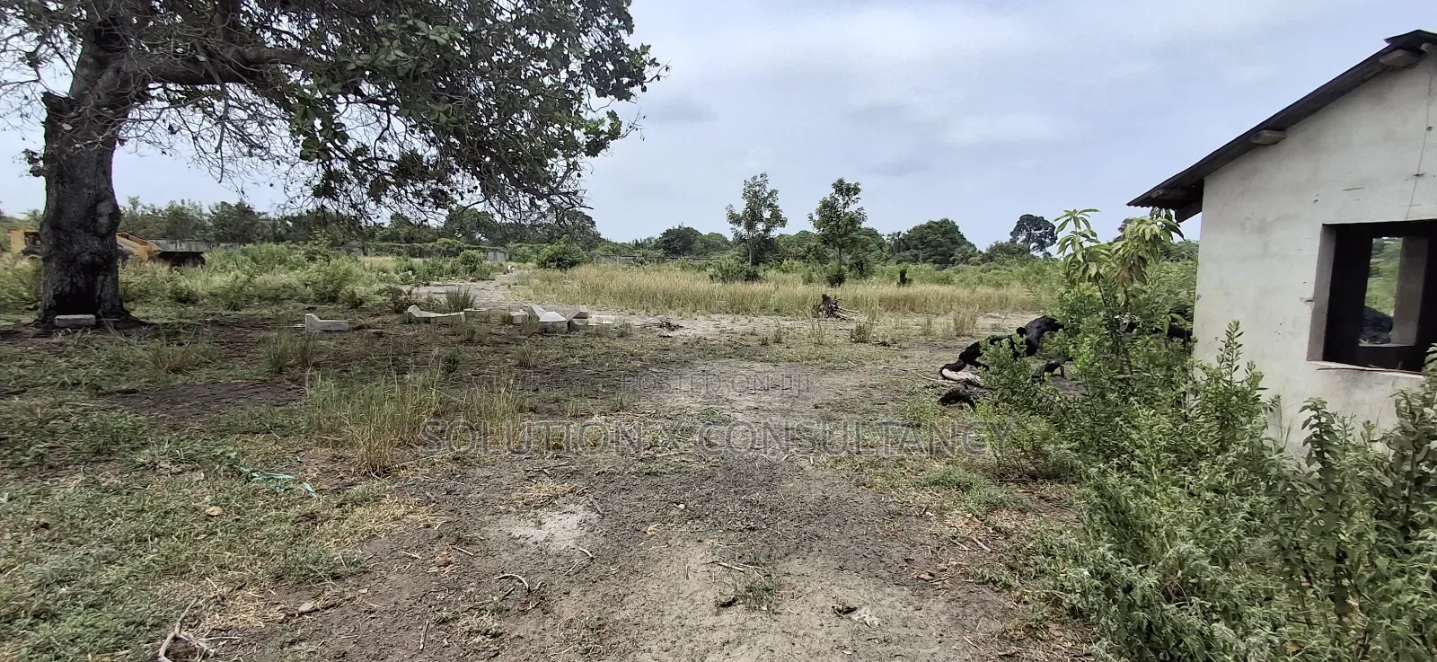 Yard for Rent at Kerege Bagamoyo (Eneo Linapangishwa Kerege)