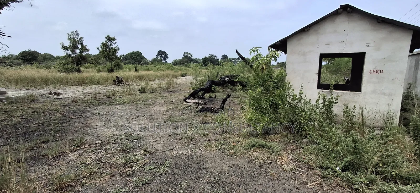 Yard for Rent at Kerege Bagamoyo (Eneo Linapangishwa Kerege)