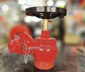Naffco Landing Valve