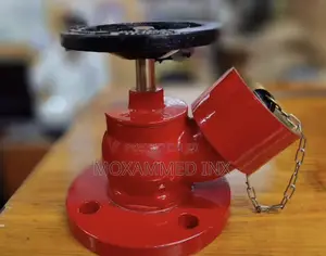 4” Landing Valve Flange Type