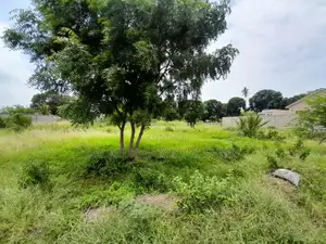 Kiwanja Kinauzwa Kigamboni Ungindoni