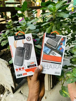 Laibon Quality Power Bank