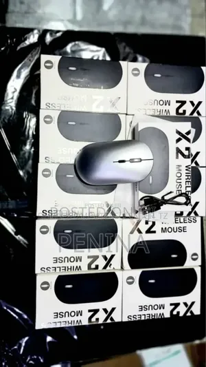 Wireless Mouse X2