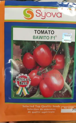 Bawito Tomatoes