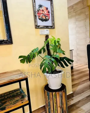 Furnished 3bdrm Apartment in Kinondoni for rent