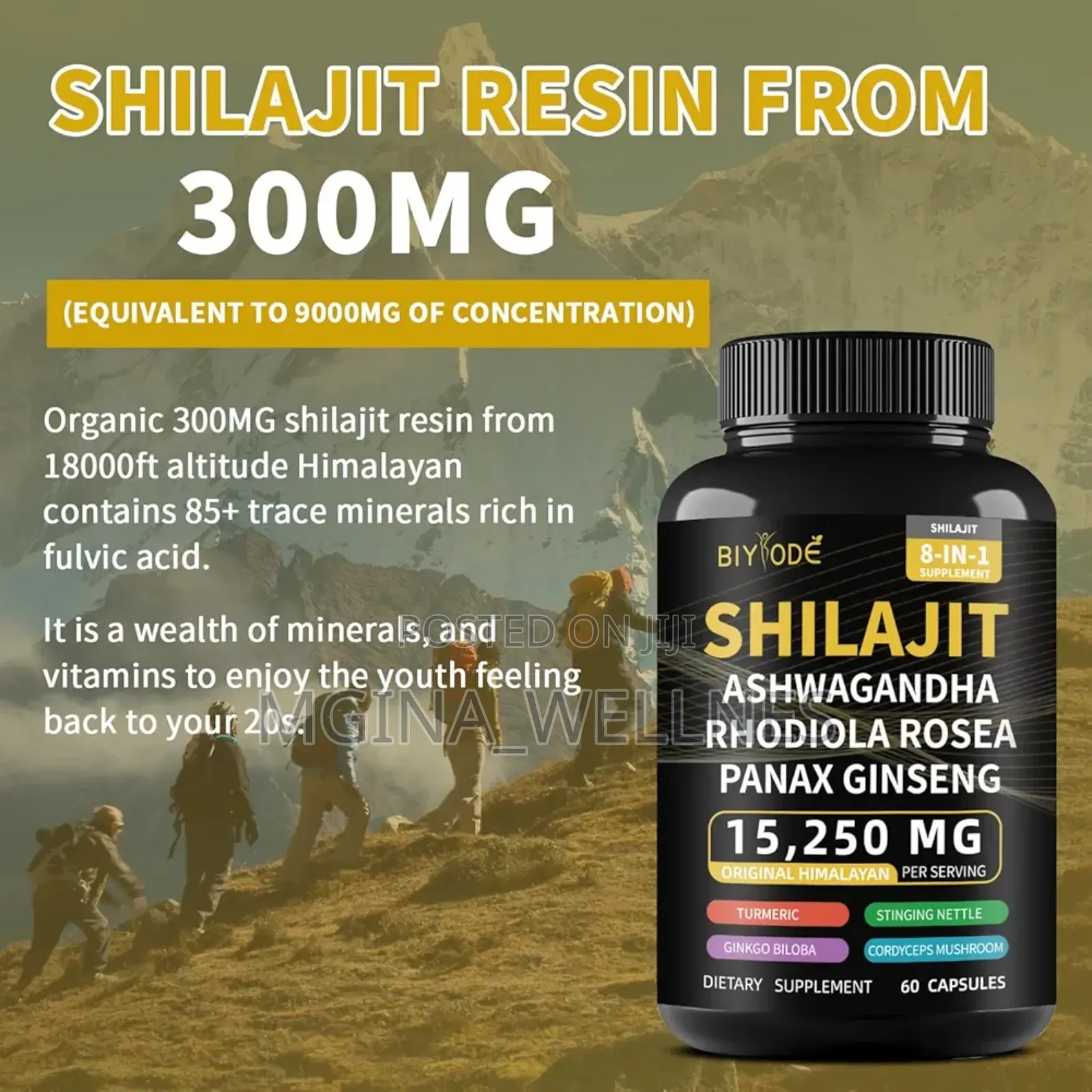 8 in 1 Sunnis Shilajeet With Ashwagandha Ginseng