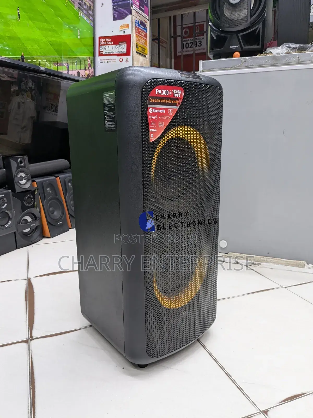 F D FENDER Portable Karaoke Rechargeable Speaker 10000W