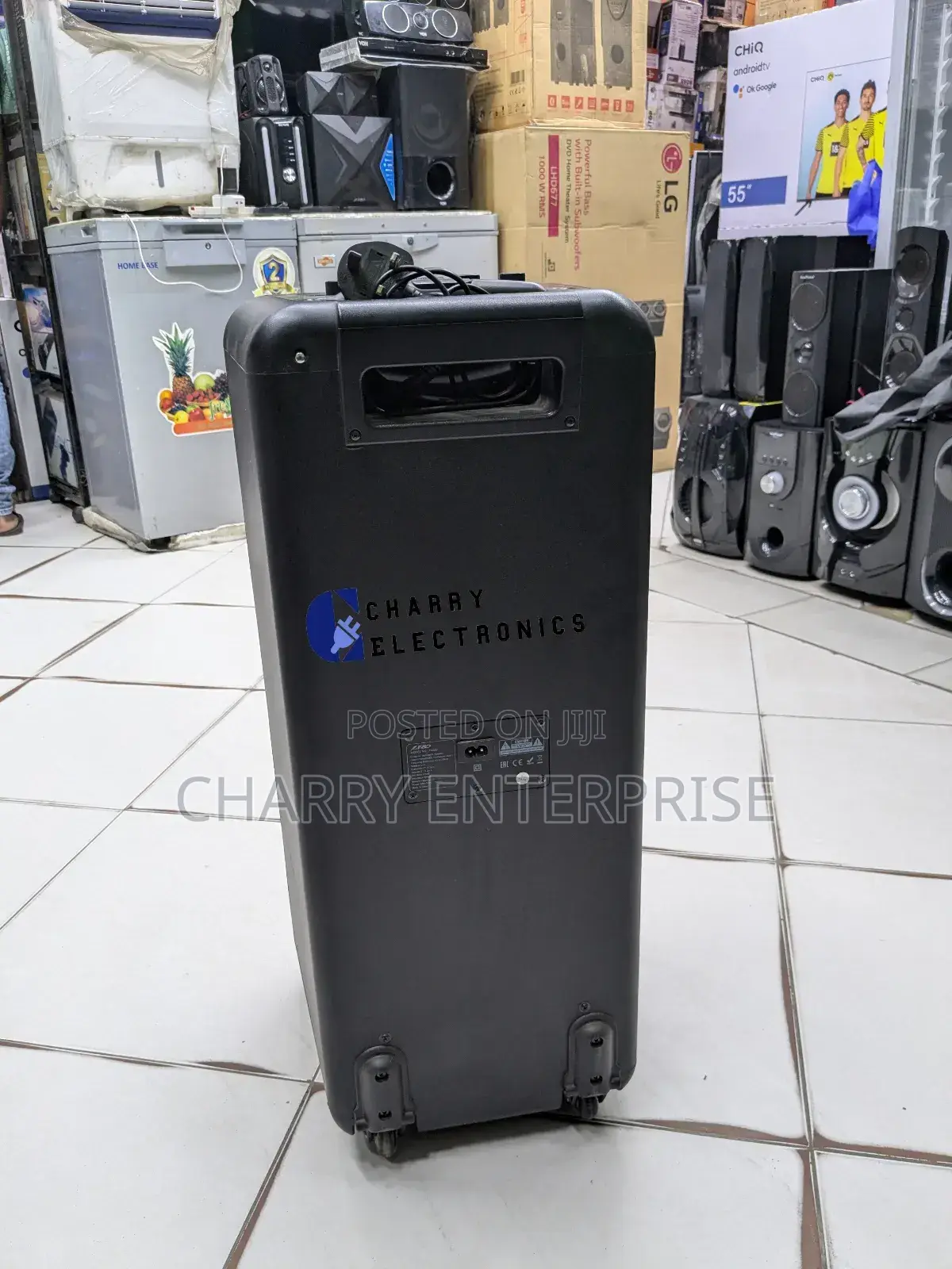 F D FENDER Portable Karaoke Rechargeable Speaker 10000W