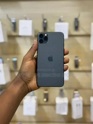 Apple iPhone 11 Pro Max 64 GB Gray
