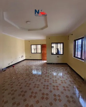 2bdrm Apartment in Dalali_Nick_Mwanza, Buswelu for rent