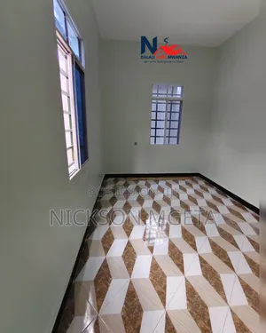 2bdrm Apartment in Dalali _Nick_Mwanza, Buswelu for rent