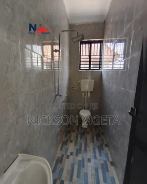 2bdrm Apartment in Dalali _Nick_Mwanza, Buswelu for rent