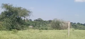 Plot for Sale in Njiro-Aromic at Arusha-Tanzania