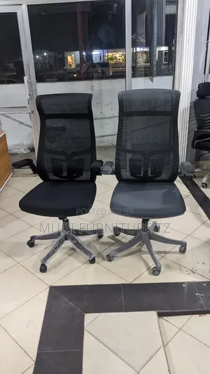 Ergonomic Office Chairs