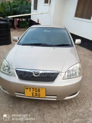 Toyota Allex 2005 Gold