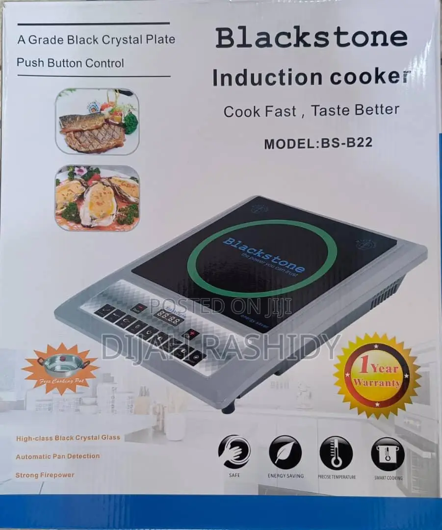 Blackstone Induction Cooker