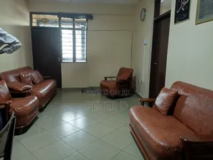 Furnished 2bdrm Apartment in Kariakoo for rent