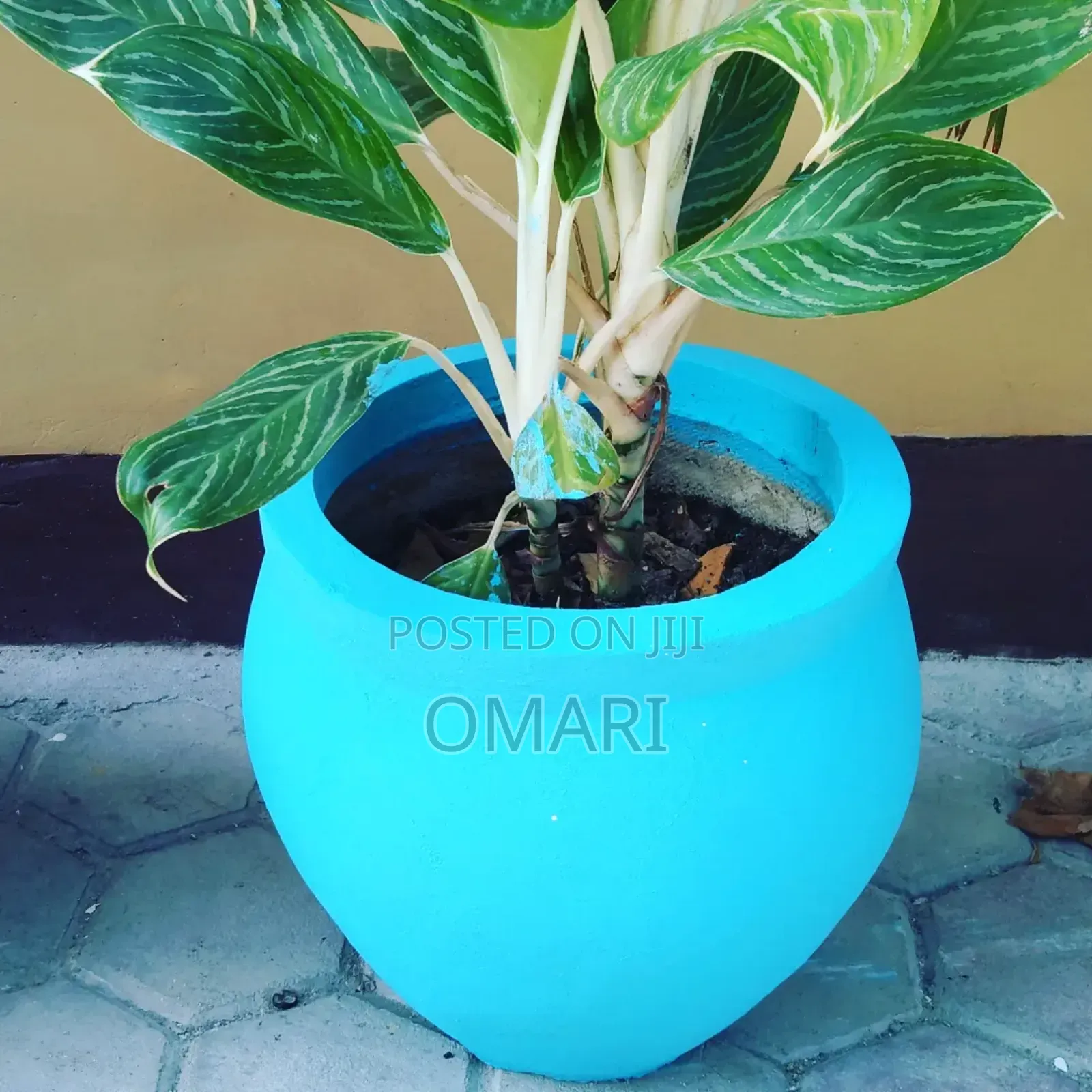Round Flower Pots