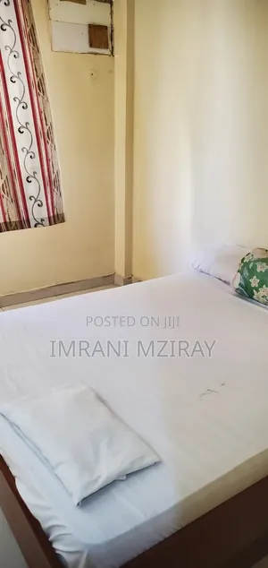 Furnished 3bdrm Apartment in Kariakoo for rent