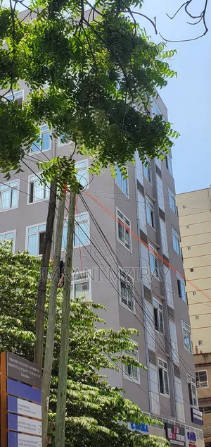 Furnished 3bdrm Apartment in Kariakoo for rent