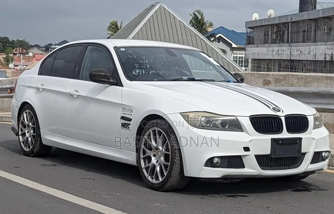 BMW 3 Series 320i RWD 2010 Pearl