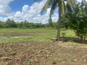 Shamba Acre 100
