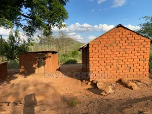 Shamba Acre 100